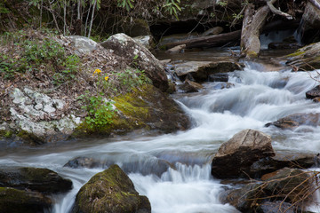 Mountain stream cascading by rocks