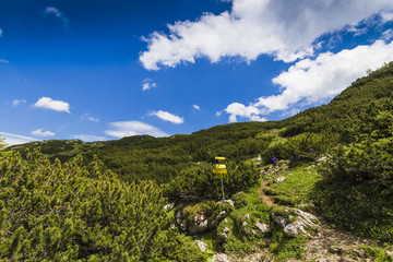 at the mountains
