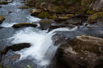 Mountain stream cascading by rocks