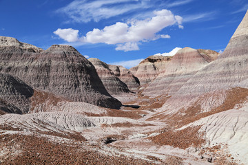 Badland Petrified Forest USA