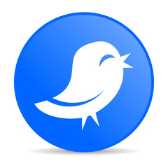 twitter internet blue icon