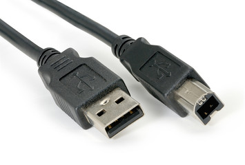 Black usb 2.0 cable with type B connector isolated on white back