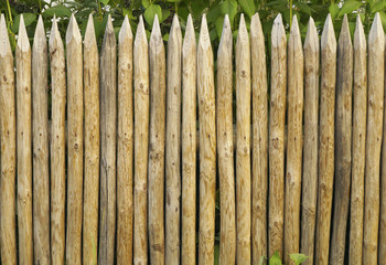 Solid picket fence of sharp stakes - obrazy, fototapety, plakaty