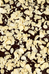 Tasty chocolate cake with almond, close up