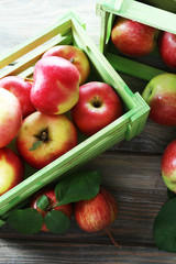 Juicy apples in box, close-up