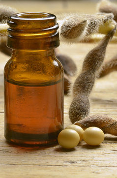 Glycine max Soybean Sojaboon Sojabohne Soya bean Соя