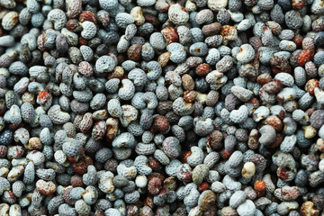 Poppy seeds, close-up