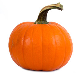 perfect pumpkin isolated