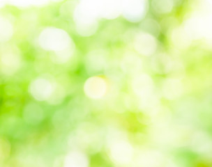 Bokeh