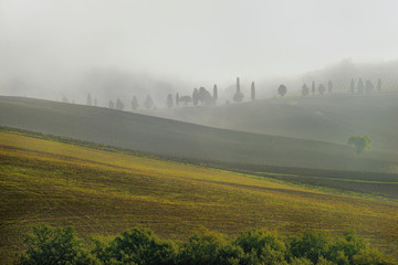 Toscania , Włochy, pola we mgle