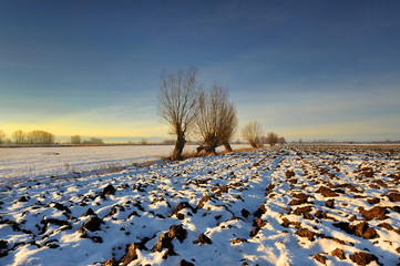 Krajobraz wiejski, zima