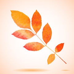 Orange watercolor painted vector ash tree leaf