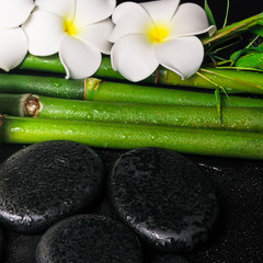 Obraz na płótnie Canvas spa concept of zen basalt stones, white flower frangipani and n