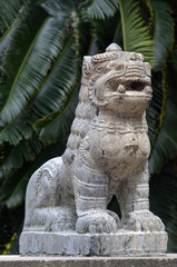 Nepali lion