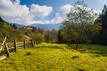 Autumn landscape