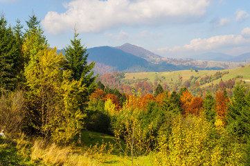 Obraz premium Autumn landscape