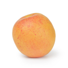 one ripe orange apricot