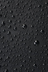 plastic background with lotus effect