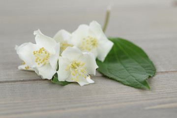 Fototapeta na wymiar jasmine flowers on old wood table
