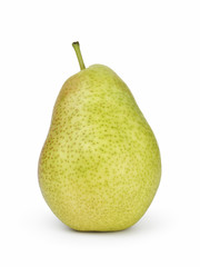 ripe forelle pear
