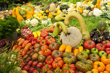Assortiment de légumes variés