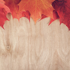 autumn maple leaves on wood table
