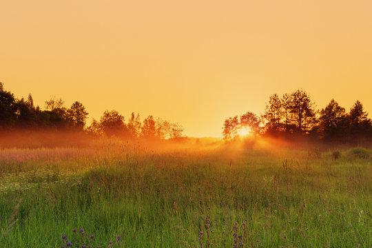 Countryside Meadow In Beautiful Sunset