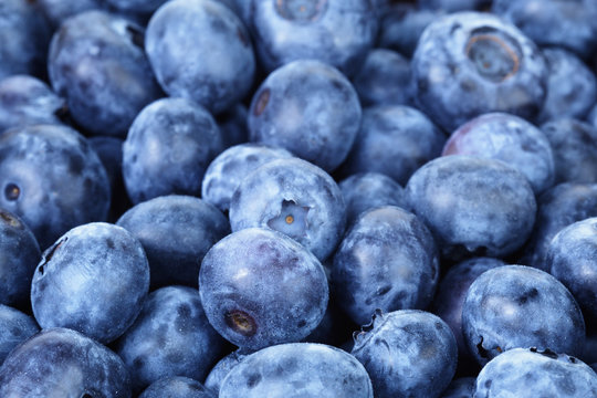 fresh ripe blueberries closeup