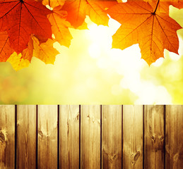 Naklejka na ściany i meble fence in autumn forest