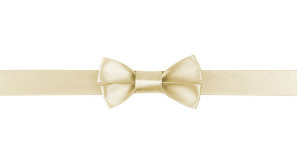 horizontal border with champagne color ribbon bow