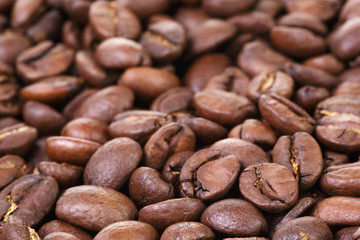 coffee beans background