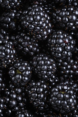 ripe organic blackberries close up