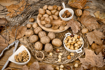 Fototapeta na wymiar Autumn nuts