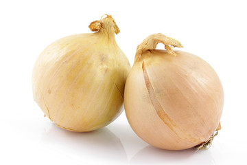 Fototapeta premium cebula