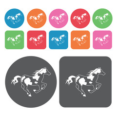 Horse Icon. Amarica Sign Icons Set. Round And Rectangle Colourfu