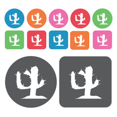 Cactus Icon. Amarica Sign Icons Set. Round And Rectangle Colourf