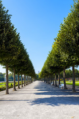 Park © Marla