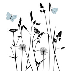 Naklejka premium Floral background with dandelion