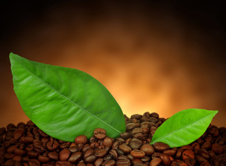 Obraz premium heap of coffee beans with leaves close up