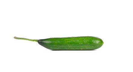 Close up of fresh cucumber.