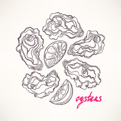 hand-drawn sketch oysters