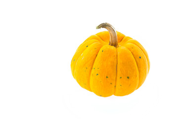 Pumpkin isolated on white