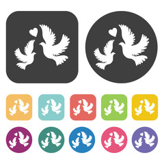 Doves icon. Wedding, bride and groom, love, celebration icon set
