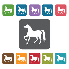 Obraz premium Year Of The Horse Icon. Zodiac Symbol Sign Icons Set. Rectangle