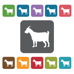 Year Of The Goat Icon. Zodiac Symbol Sign Icons Set. Rectangle C