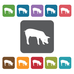 Year Of The Pig Icon. Zodiac Symbol Sign Icons Set. Rectangle Co