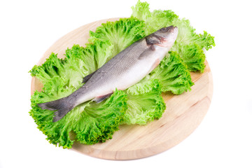 Fresh seabass fish on lettuce.
