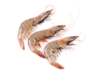 Three raw shrimps.