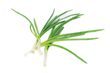 Fresh spring onion.