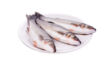 Three fresh seabass fish on plate.